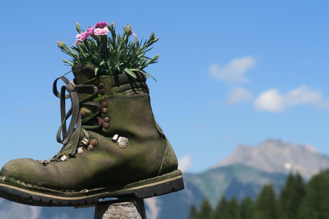 Wanderschuh mit Blumen