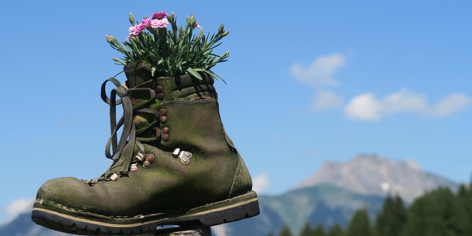 Wanderschuh mit Blumen