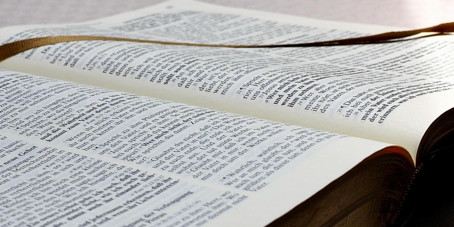 Training für Lektor*innen