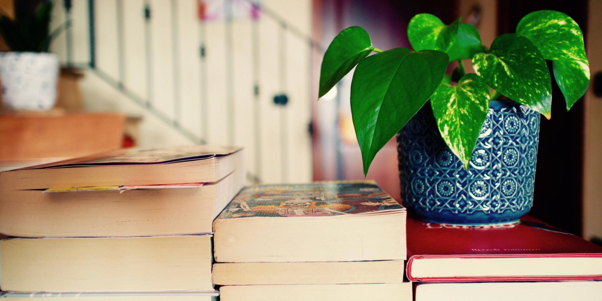 Bücher