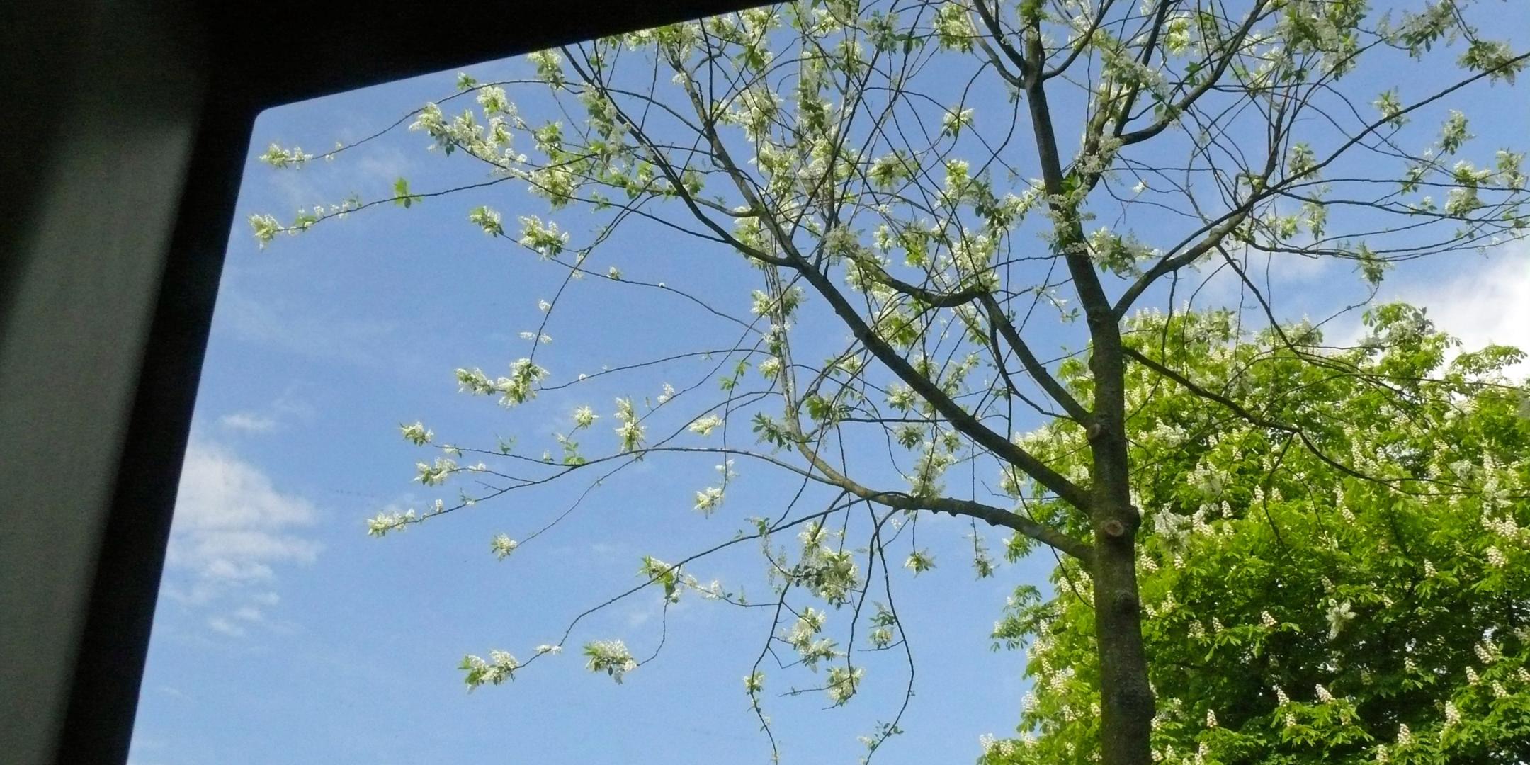 Frühlingserwachen im momentum