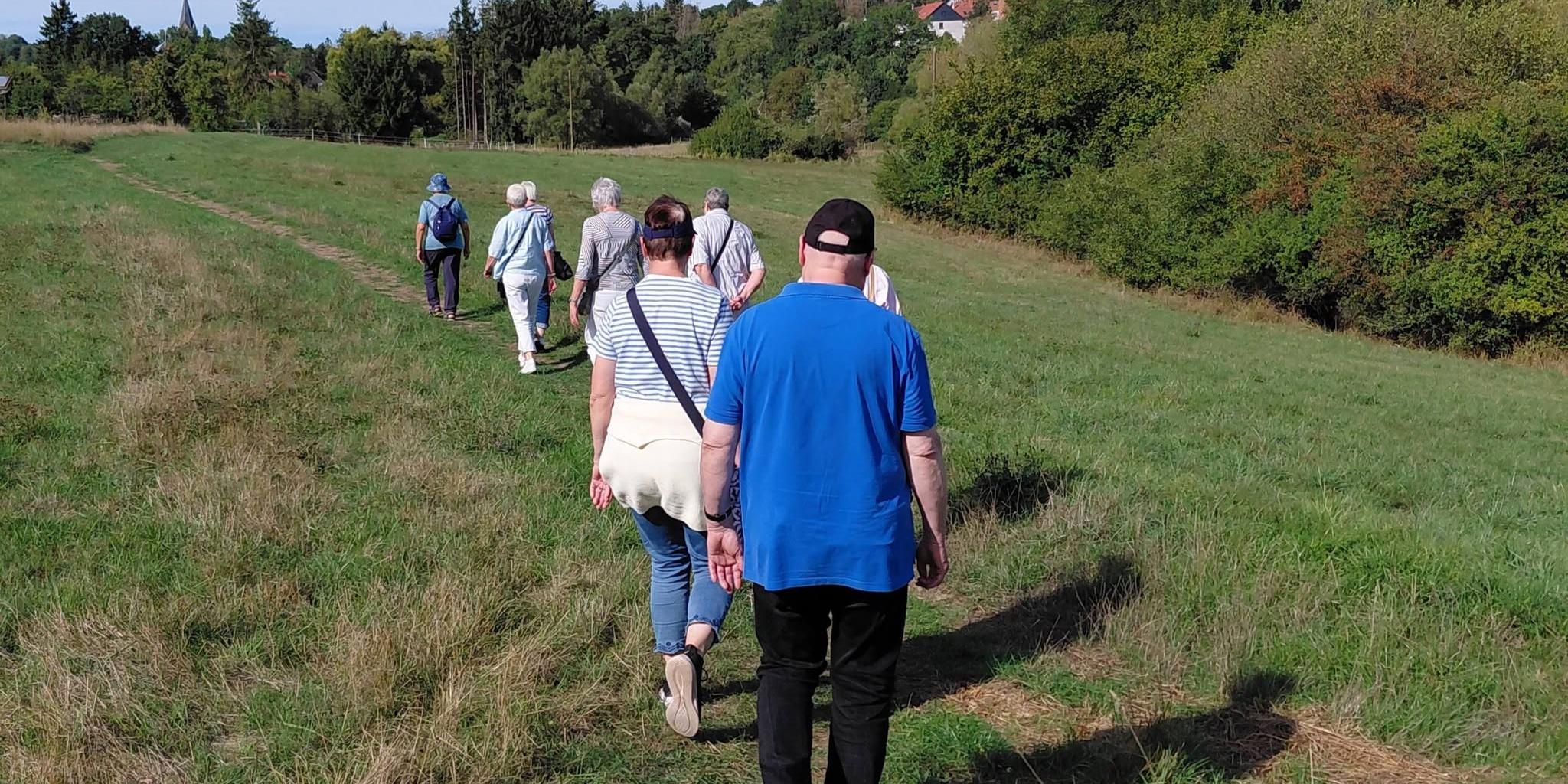 Bild Orgelwanderung 2