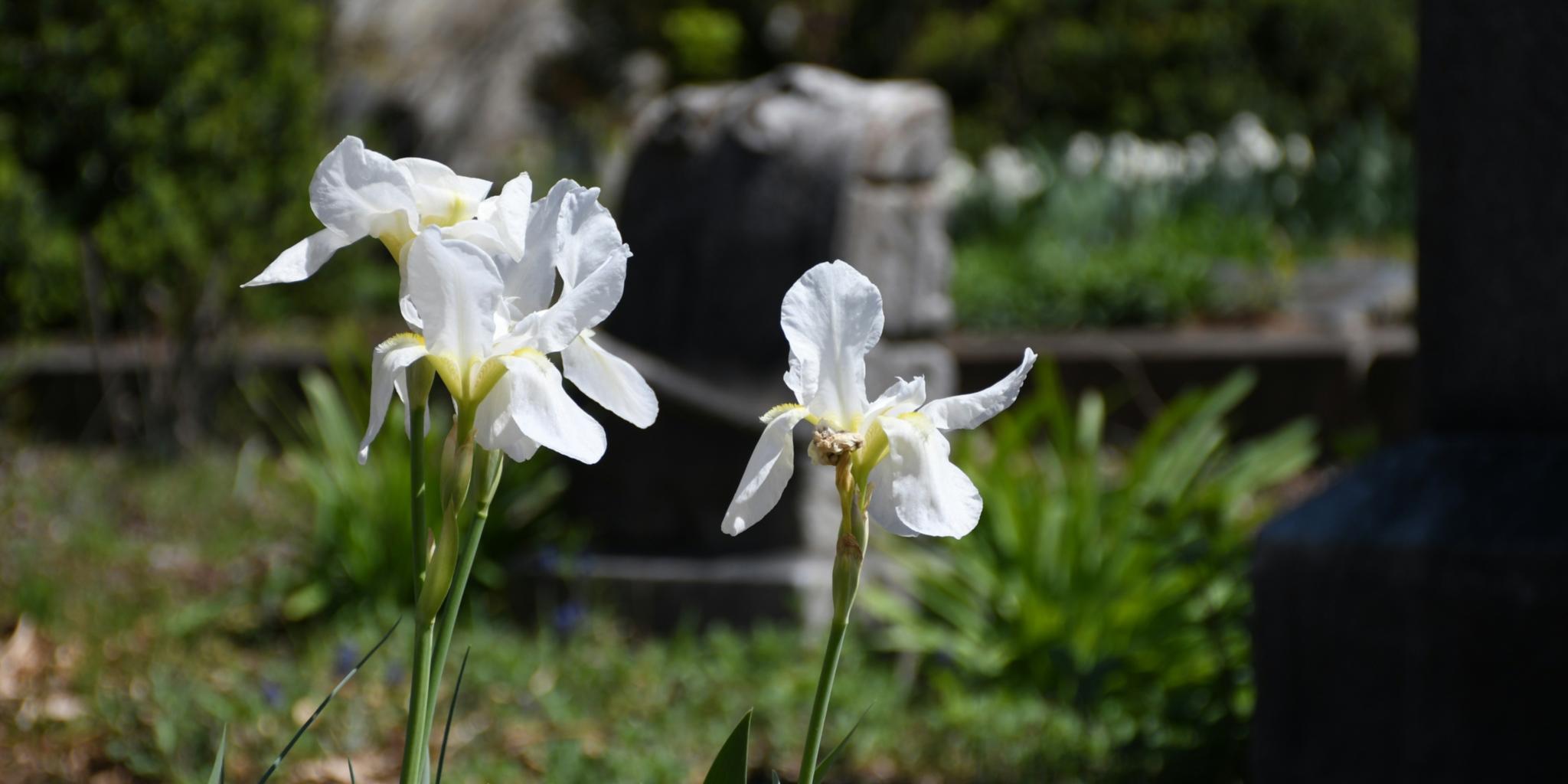Friedhofscafé auf dem Neunkircher Zentralfriedhof