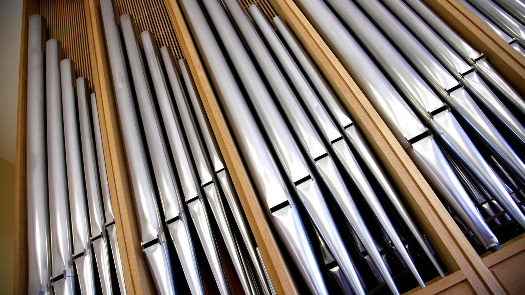 xrayfoto-organ-5859786
