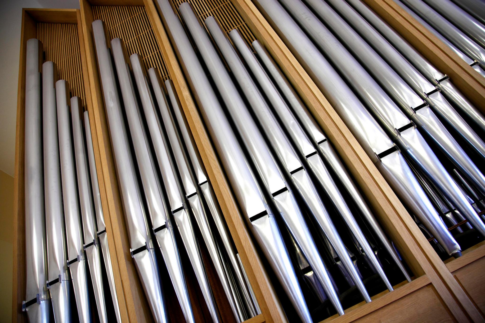 xrayfoto-organ-5859786